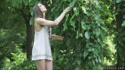 Hot brunette babe Nicole Pearl has anal sex at nature