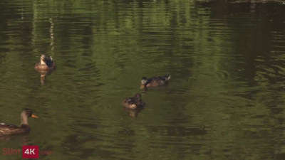 Mickey Moor fucks a stranger she met in a park